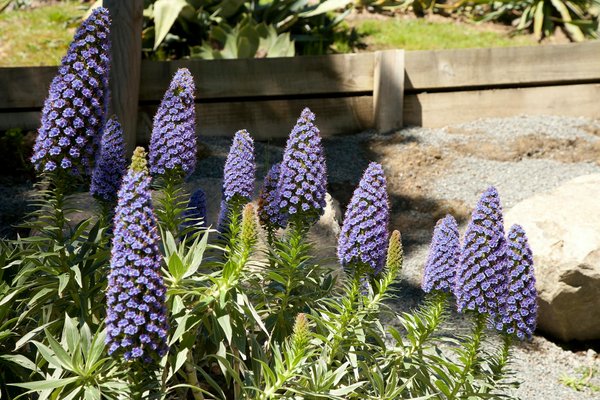 How Can a UK Home Swimming Pool Affect Your Property Value?